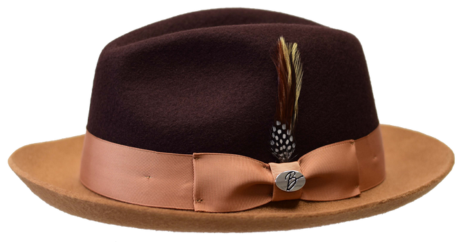 Bruno Capelo Damien Collection Dark Brown/Camel Hat