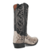MANNING PYTHON BOOT