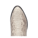 MANNING PYTHON BOOT
