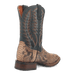 TEMPLETON PYTHON BOOT