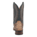TEMPLETON PYTHON BOOT