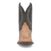 TEMPLETON PYTHON BOOT