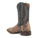 TEMPLETON PYTHON BOOT