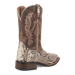 BRUTUS PYTHON BOOT