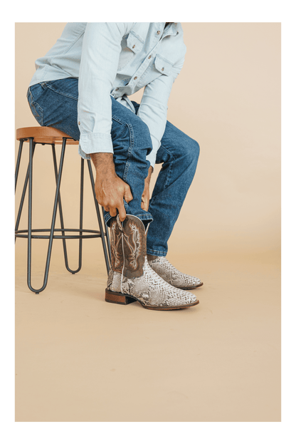 BRUTUS PYTHON BOOT