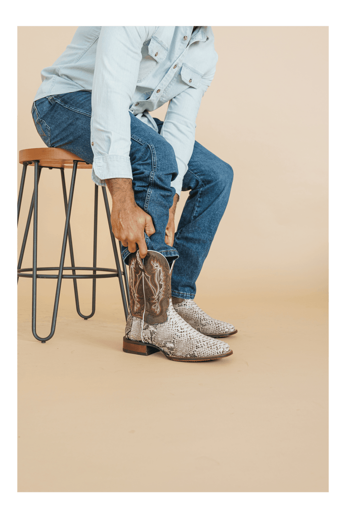 BRUTUS PYTHON BOOT