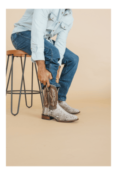 BRUTUS PYTHON BOOT
