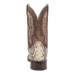 BRUTUS PYTHON BOOT