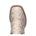 BRUTUS PYTHON BOOT