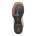 BRUTUS PYTHON BOOT