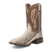 BRUTUS PYTHON BOOT