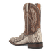 BRUTUS PYTHON BOOT