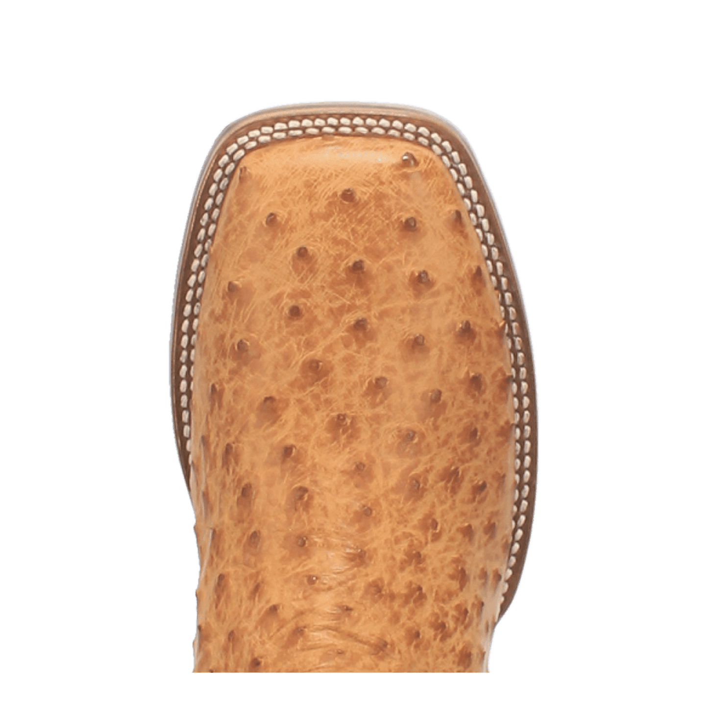 Dan Post Kershaw Full Quill Ostrich Boot - Luxury Western Style