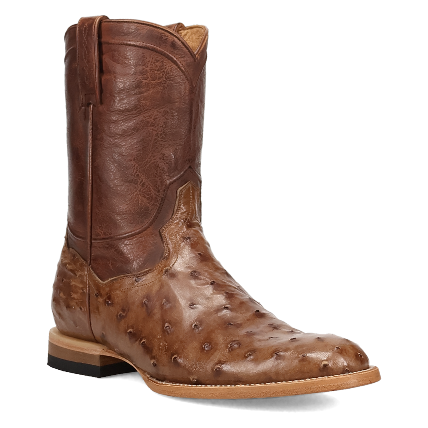 Dan Post Ardor Ostrich Boot - Full Quill Leather