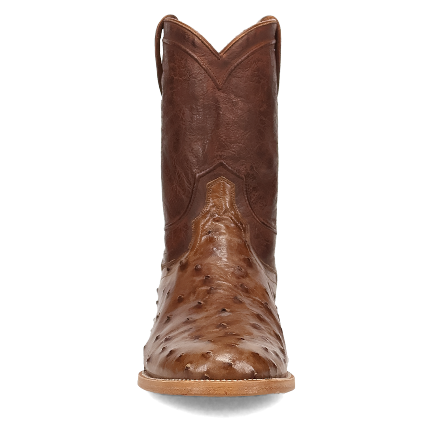 Dan Post Ardor Ostrich Boot - Full Quill Leather