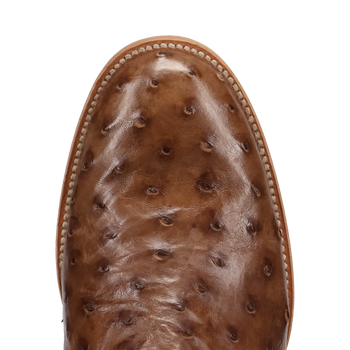 Dan Post Ardor Ostrich Boot - Full Quill Leather