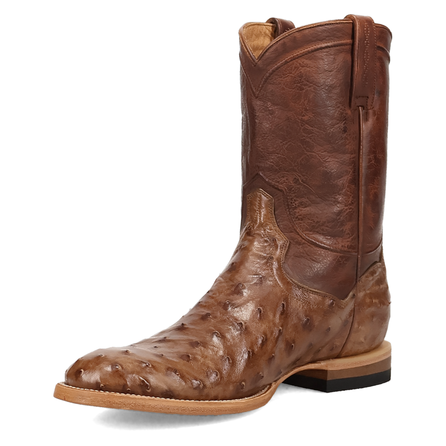 Dan Post Ardor Ostrich Boot - Full Quill Leather