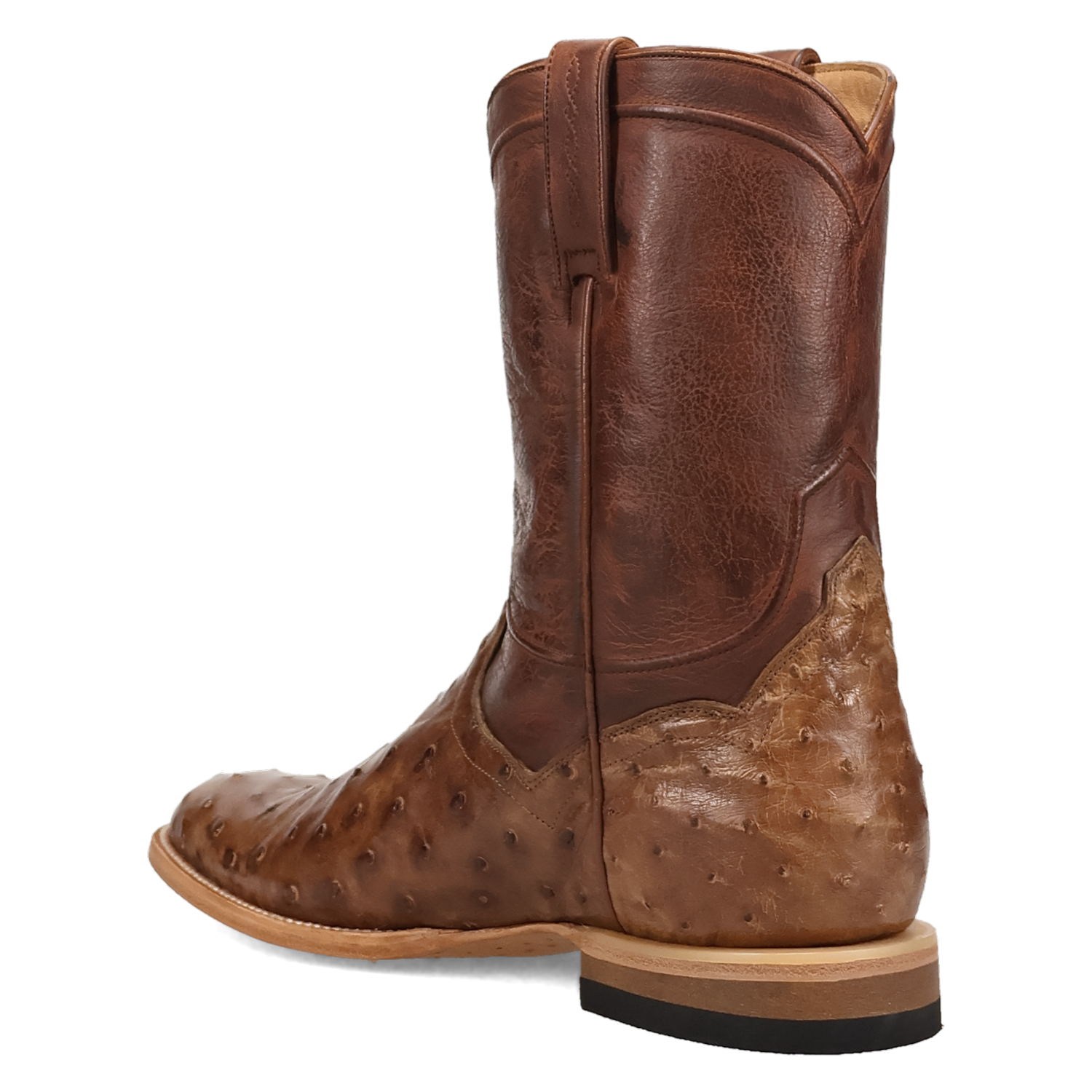 Dan Post Ardor Ostrich Boot - Full Quill Leather