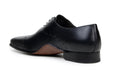 Belvedere Maestro - Black