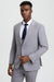 Men's Vested One Button Peak Lapel Stacy Adams Designer Suit in Light Grey