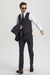Men's Two Button Vested Stacy Adams Basic Designer Suit in Charcoal Grey