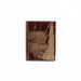 Men's Alligator Trifold Wallet in Brown