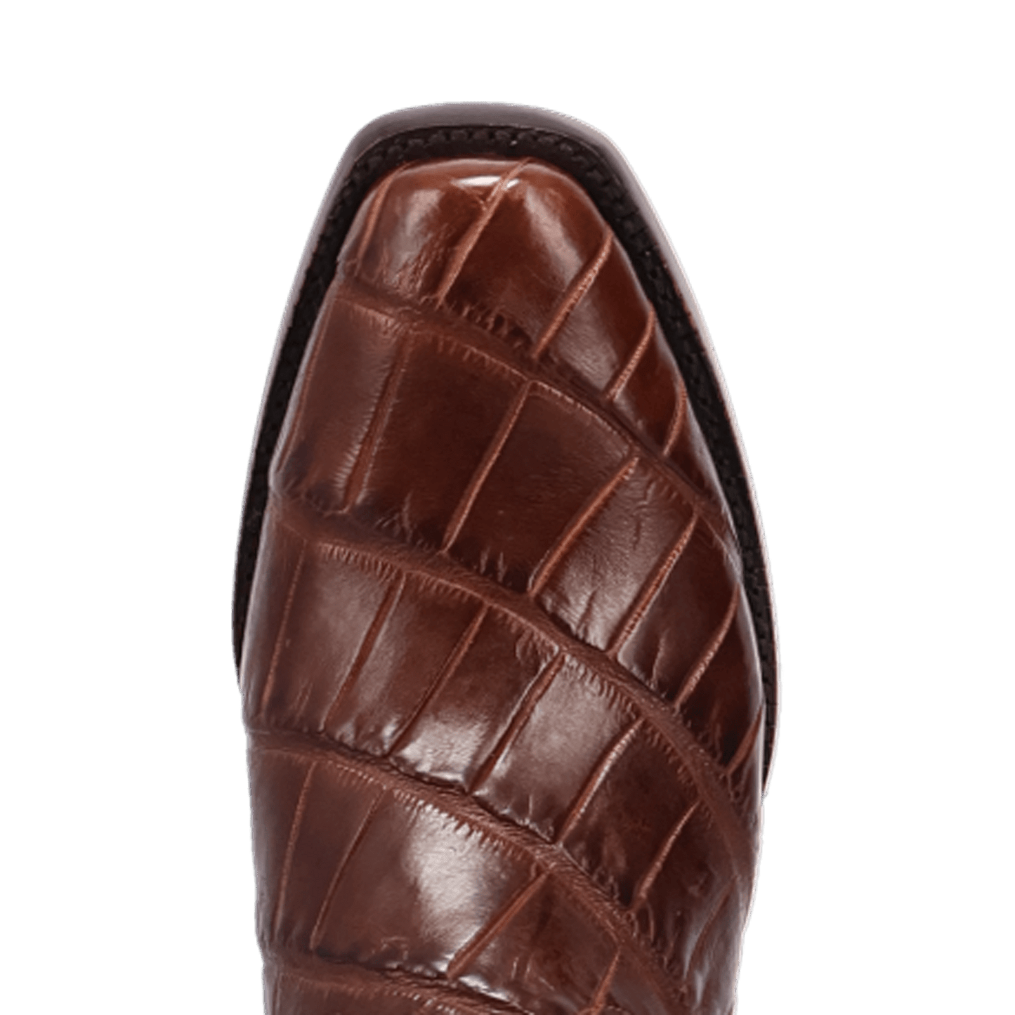 Dan Post Delano Alligator Boot - American Alligator Leather