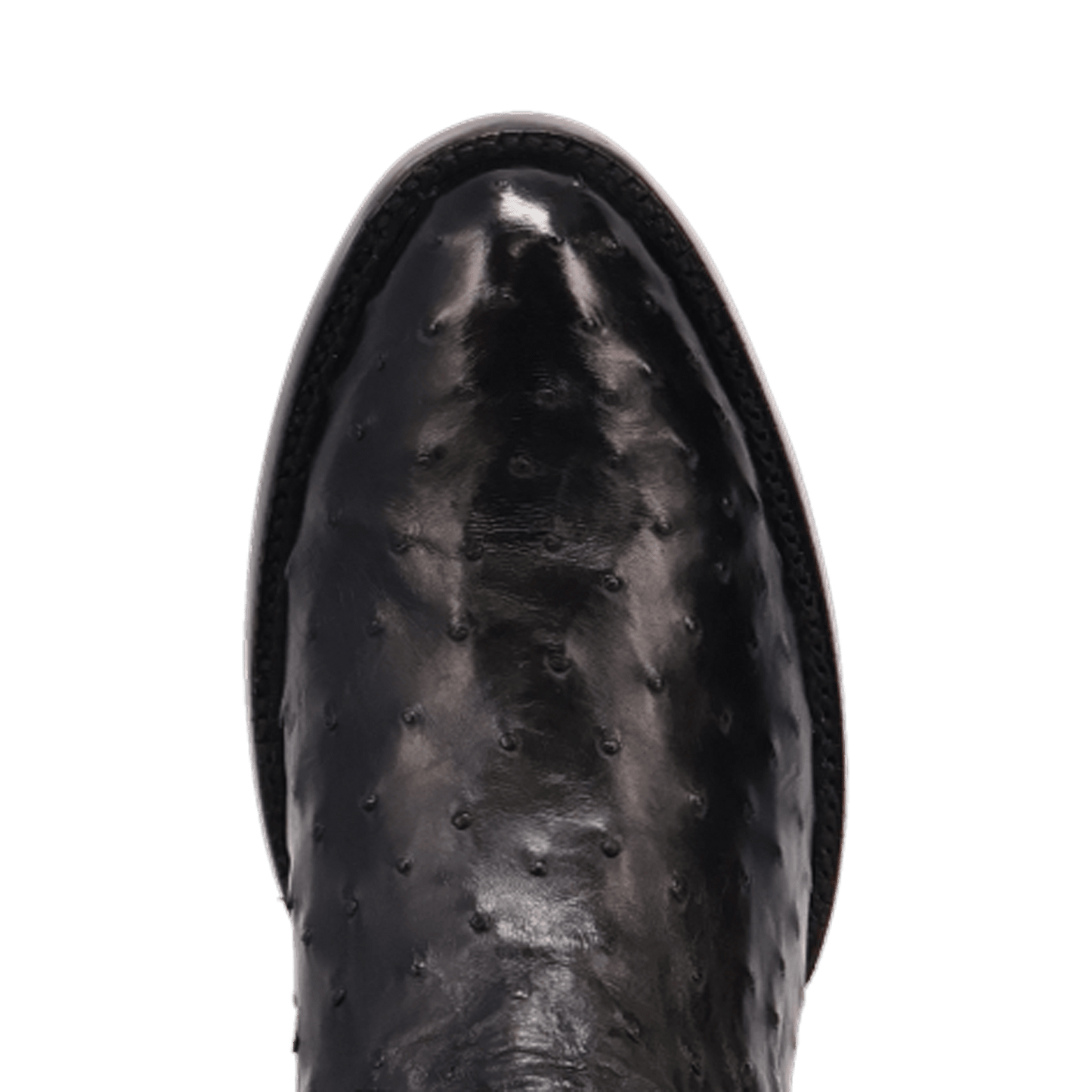 Dan Post Stanford Full Quill Ostrich Boot