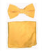 Velvet Bowtie with Hanky Gold