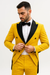 Gold Victorian Tuxedo