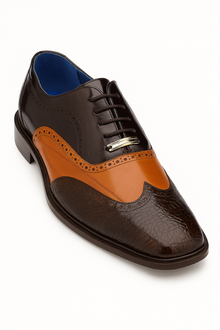 Belvedere Varo Men's Alligator & Eel Leather Dress Shoes - Chocolate Brown/Tan