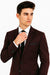 Men's 2 Button Plum ~ Eggplant ~ Dark Burgundy ~ Wine ~ Maroon Suit slim fitted skinny suit