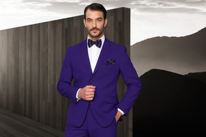 Men'S Purple Poly~Rayon Fabric Modern Cut 2 Button Cheap Priced Business Suits Clearance Sale - Image 2