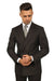 Pinstripe ~ Stripe Pattern Men's Charcoal Double Breasted Wool Peak Lapel Stripe Suit