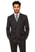 Pinstripe ~ Stripe Pattern Men's Charcoal Double Breasted Wool Peak Lapel Stripe Suit