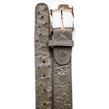 Belvedere Ostrich Quill Dress Belt - Grey