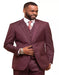 Men's Burgundy 2 Button  Sharkskin Mini Pin Dot Pattern With Settle Sheen Burgundy  Suit