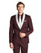 Men's Dark Navy Blue Shawl Lapel  Burgundy/White ~ Wine ~ Maroon Color Tuxed