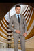 Men's   Two Button Salt & Pepper Tuxedo Suit