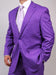 Men'S Two Button Light Purple ~ Dark Lavender Suit