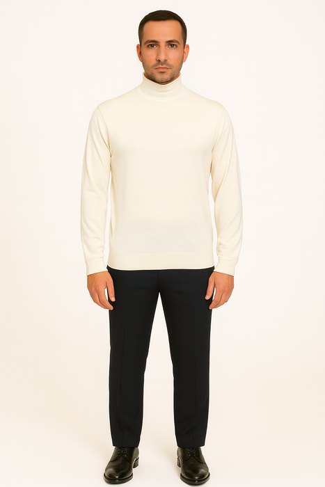 Mens Turtleneck
