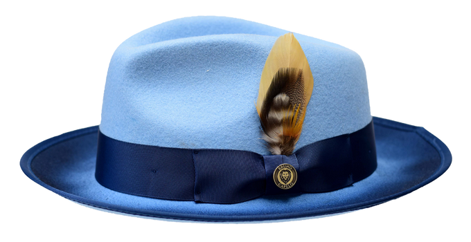 Bruno Capelo New Yorker Collection Light Blue Hat