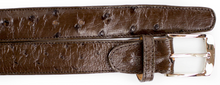 Belvedere Ostrich Quill Belt- Black