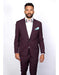 Men'S Slim Fit Burgundy ~ Wine ~ Maroon Suit