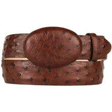 Original Ostrich Full Quill Skin Western Style Belt Brown