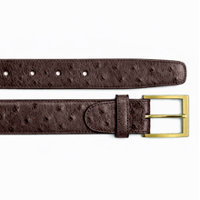 Belvedere Blake - Black/Gold