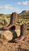 Men’s Brown Caiman Square Toe Cowboy Boots, Exotic Western Dress Boots for Rodeo and Country Wear