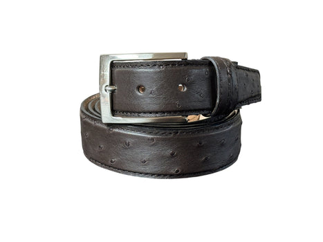 CBelt -Genuine Ostrich Belt- Brown