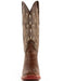 Men's Genuine Exotic Animal Skin Ferrini Hornback Crocodile Card Holder by Ferrini USA