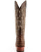 Men's Genuine Exotic Animal Skin Ferrini Hornback Crocodile Card Holder by Ferrini USA